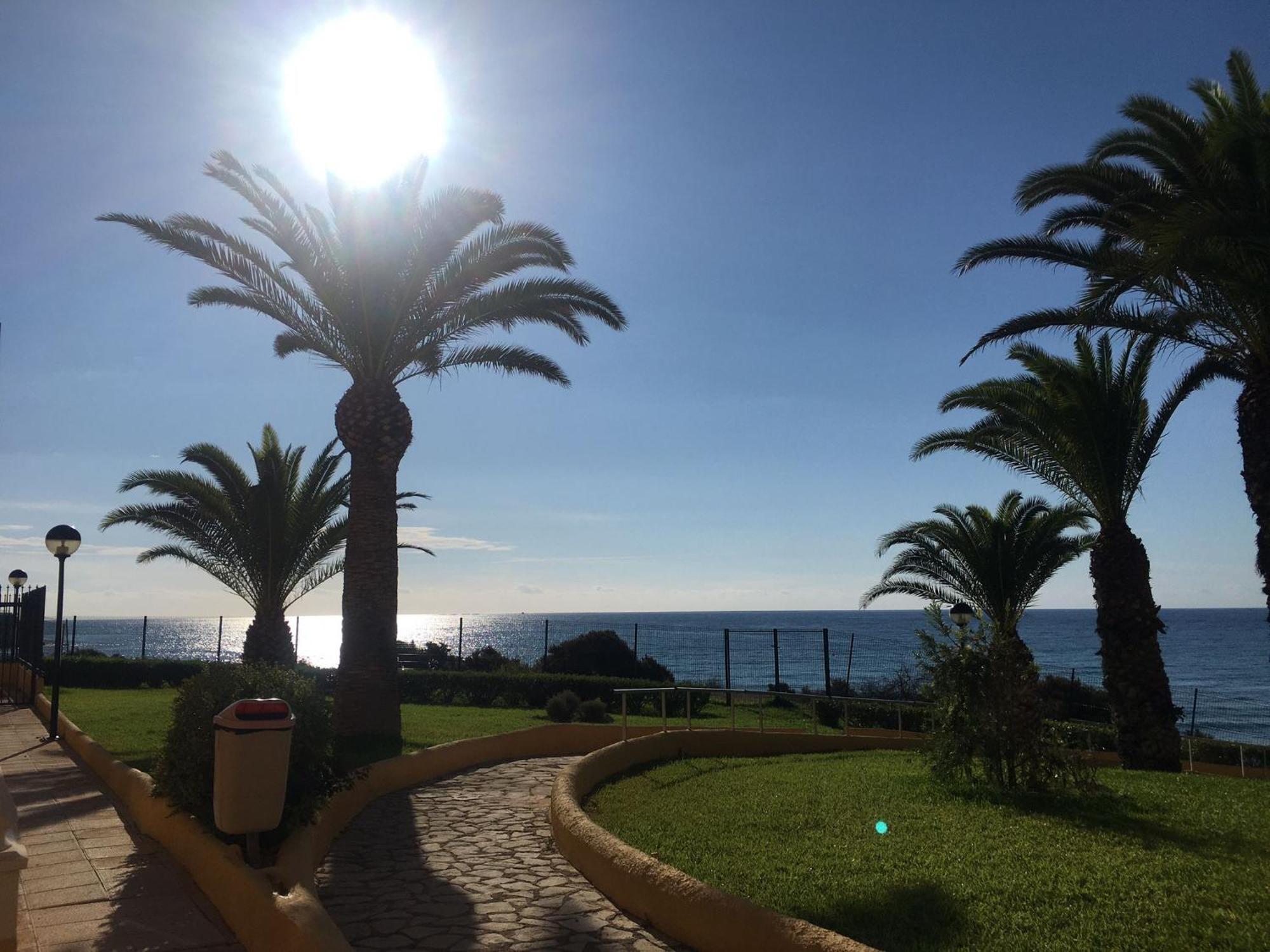 Apartamento Alkabir Playa El Campello Dış mekan fotoğraf